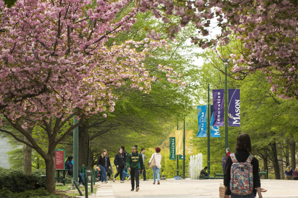 Students walking under cherry blossoms and Fairfax Campus banners